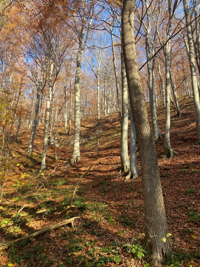 4Trees Holiday House Slunj Buitenkant foto